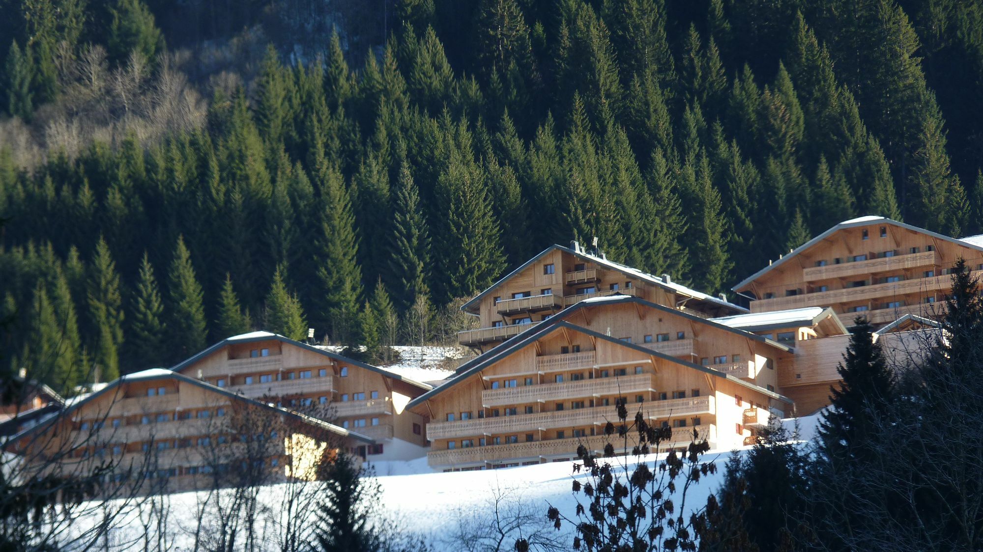Residence Nemea Le Grand Lodge Châtel Exterior foto